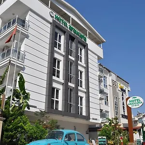 Araucaria Pension Hotel